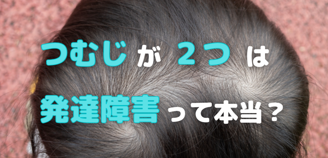 【2026年最新科学】「つむじ が 2 つ」ある人の確率と性格の真相——遺伝学の最前線とプロが明かす髪型攻略法