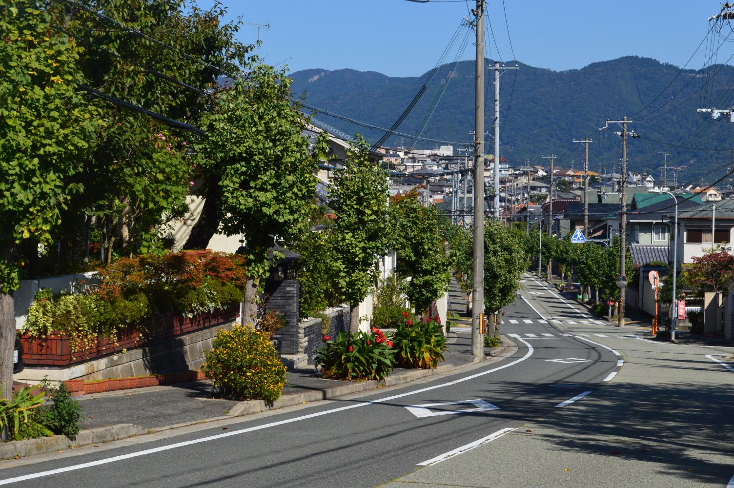 未払費用の正体とは？経理処理の基本から仕訳例・翌期の処理まで徹底解説【2026年最新版】