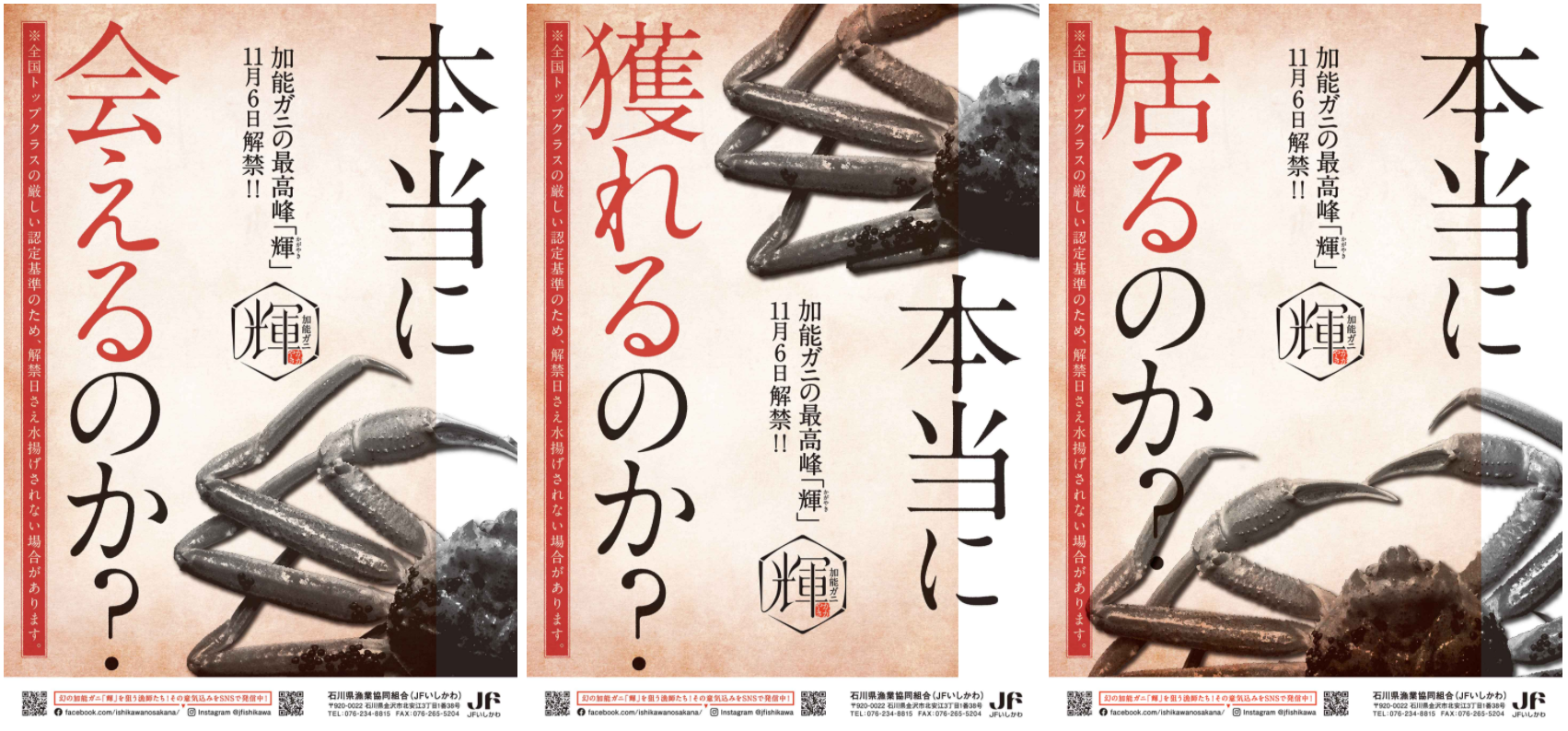 蟹解禁日の相場激変と教訓｜松葉・越前ガニを賢く選ぶ新常識
