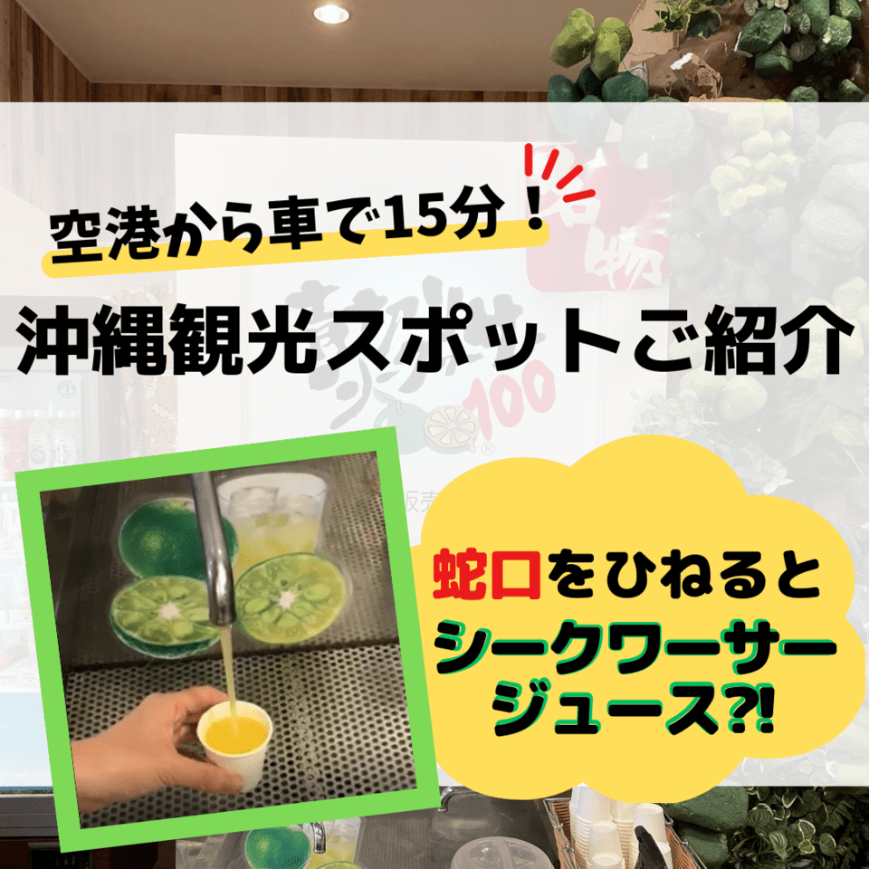 シークワーサーの効果的な飲み方｜ノビレチンを活かす黄金比と飲む時間
