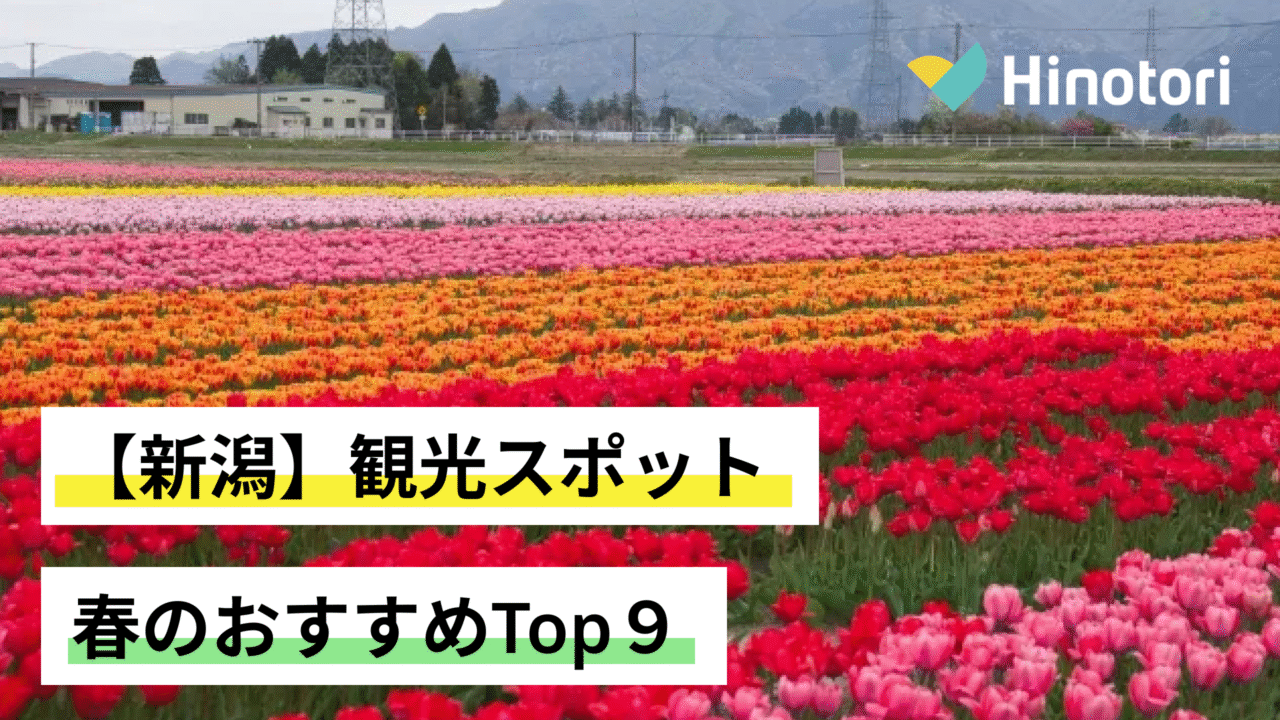 新潟市立山の下中学校の評判と実態！噂の真相から進路実績まで徹底取材