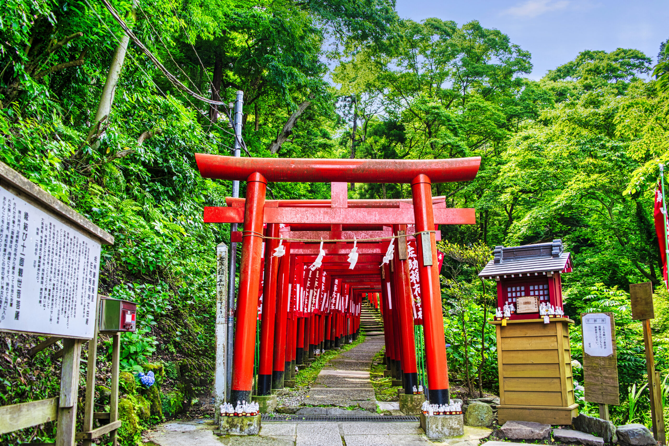 鎌倉・佐助稲荷神社が最強の出世神社と呼ばれる理由と噂の真相
