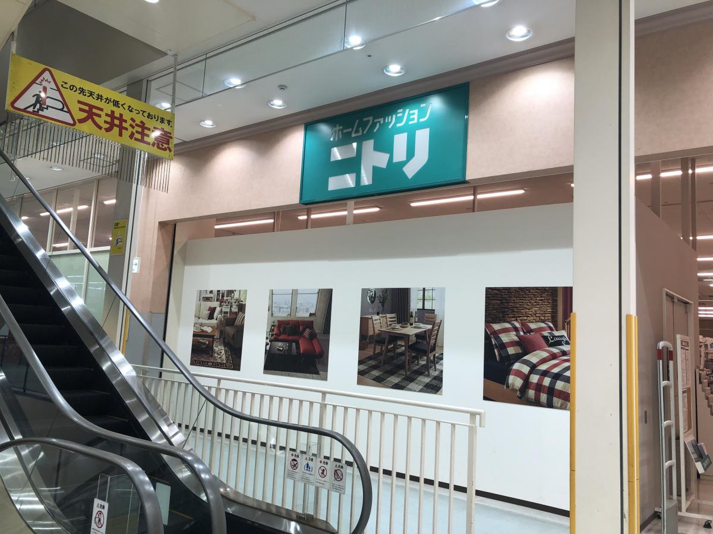 ニトリ大曽根店の真相と攻略法2026！駐車場やセール情報を徹底解剖