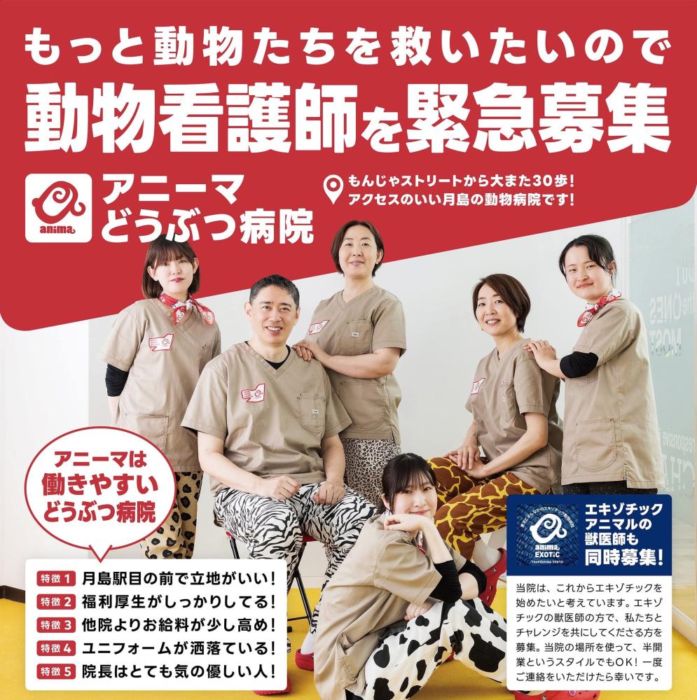 動物病院求人のリアルと年収相場｜後悔しない職場とブラックの見極め方