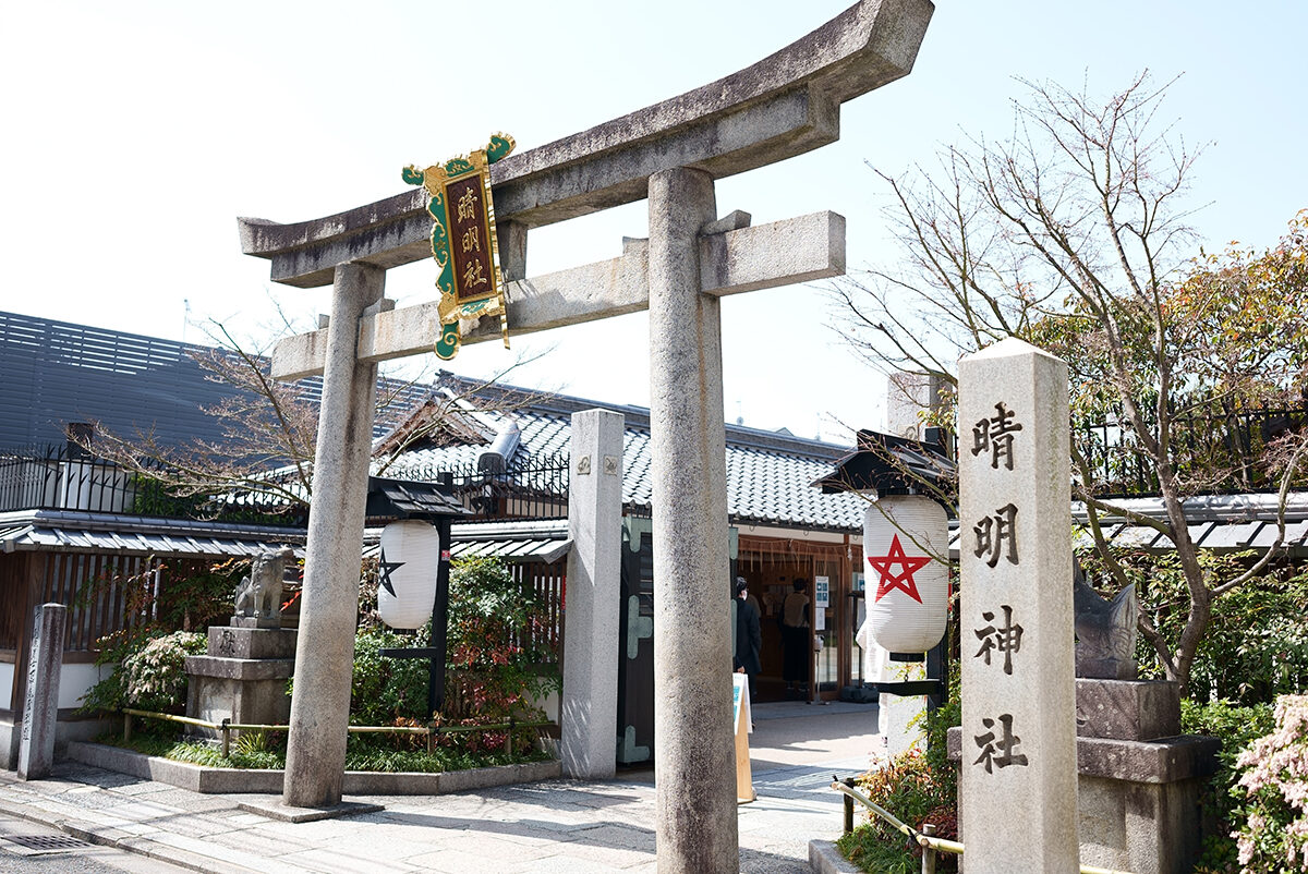 館山道の駅おすすめランキング2026！新名所と絶品海鮮をプロが徹底比較