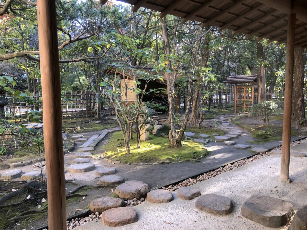 博多駅徒歩12分の静寂！楽水園の抹茶と紅葉、歴史の真相を徹底解剖