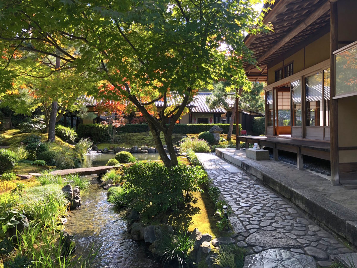 南禅寺順正の湯豆腐が愛される理由！名庭の魅力と予約の裏技を徹底解明