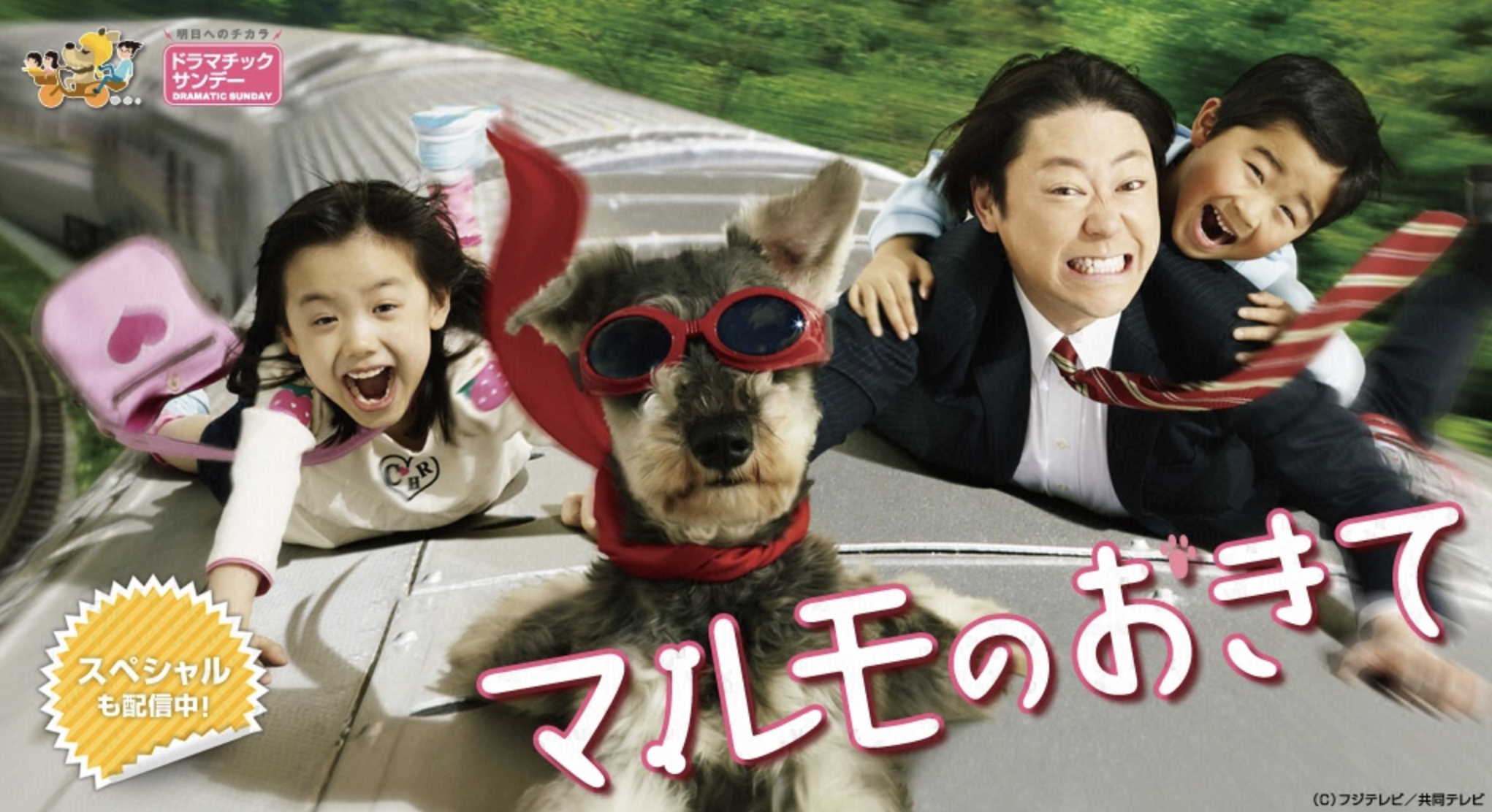 小学生ドラマ名作＆2026年最新ランキング！家族で泣ける歴代傑作選