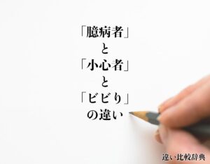 【動画まとめ】 小心 者 と は 2026年最新メディア #921