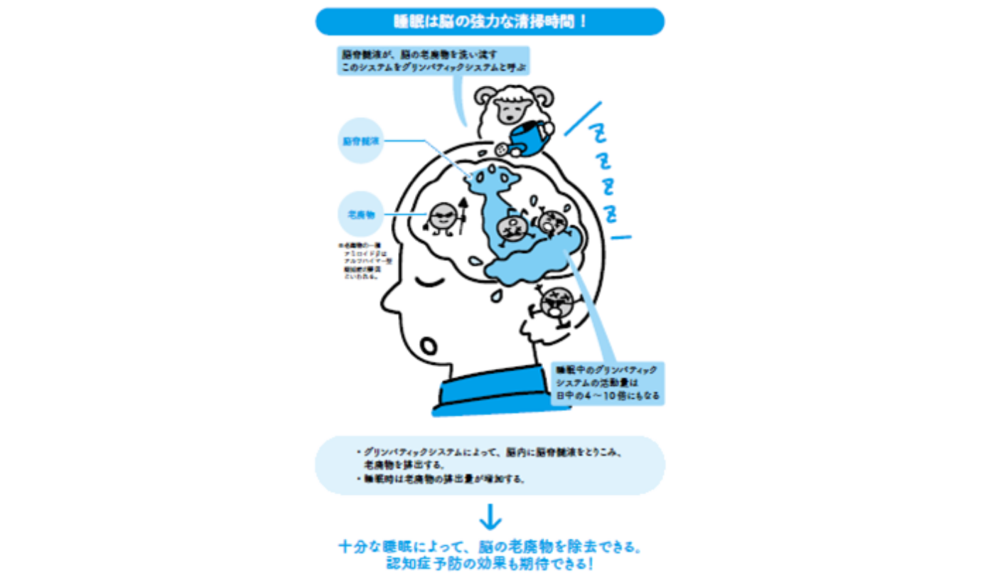 脳のゴミを洗い流すグリンパティックシステムの全貌と最新活性化法