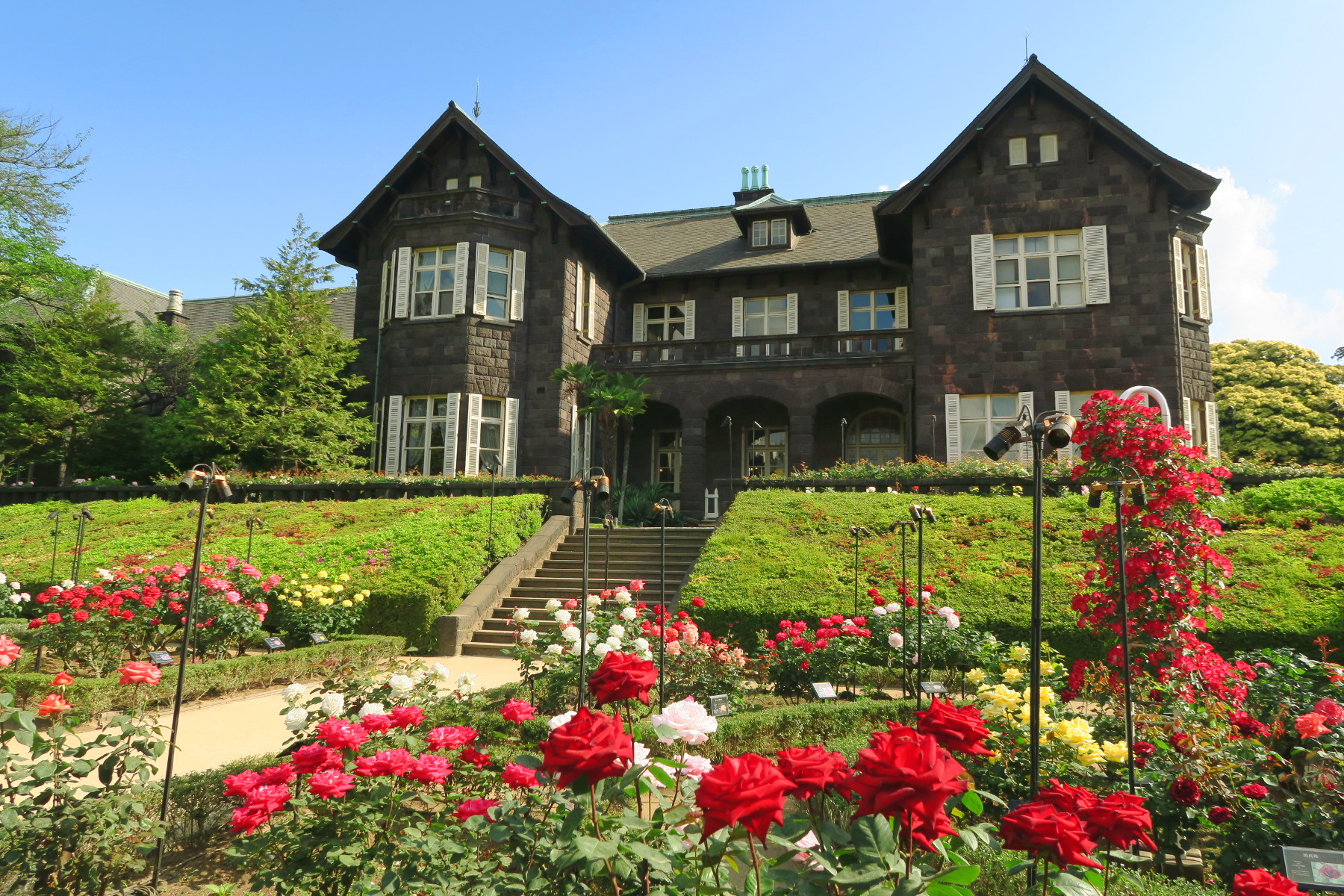 旧古河庭園の洋館とバラの絶景！内部見学予約から喫茶室まで徹底解説