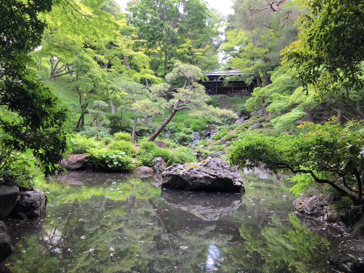国分寺・殿ヶ谷戸庭園はなぜ人を魅了？歴史と紅葉・湧水の見どころ解剖