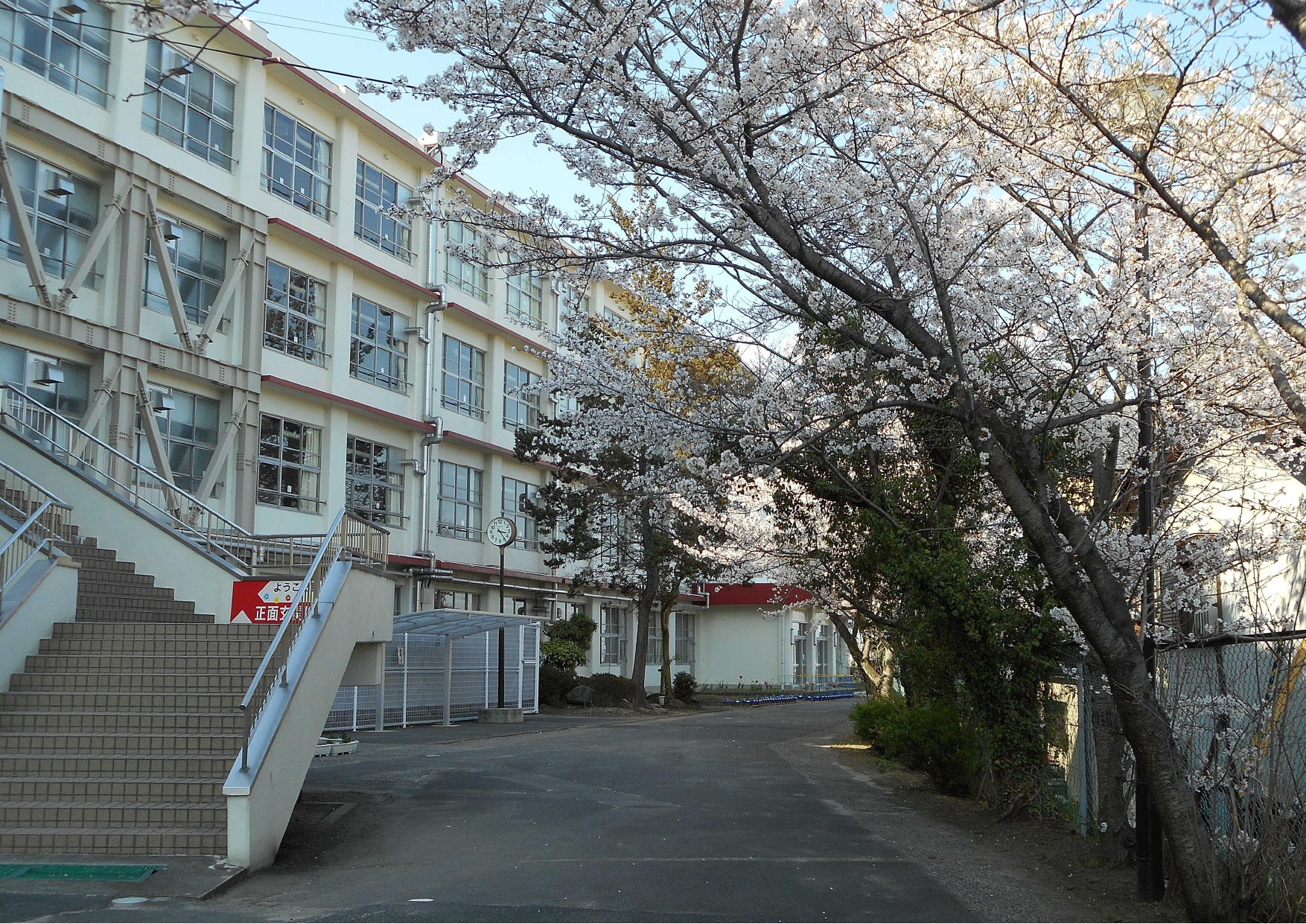 富士見小学校で何が？話題の最新情報とネットの反応を解き明かす