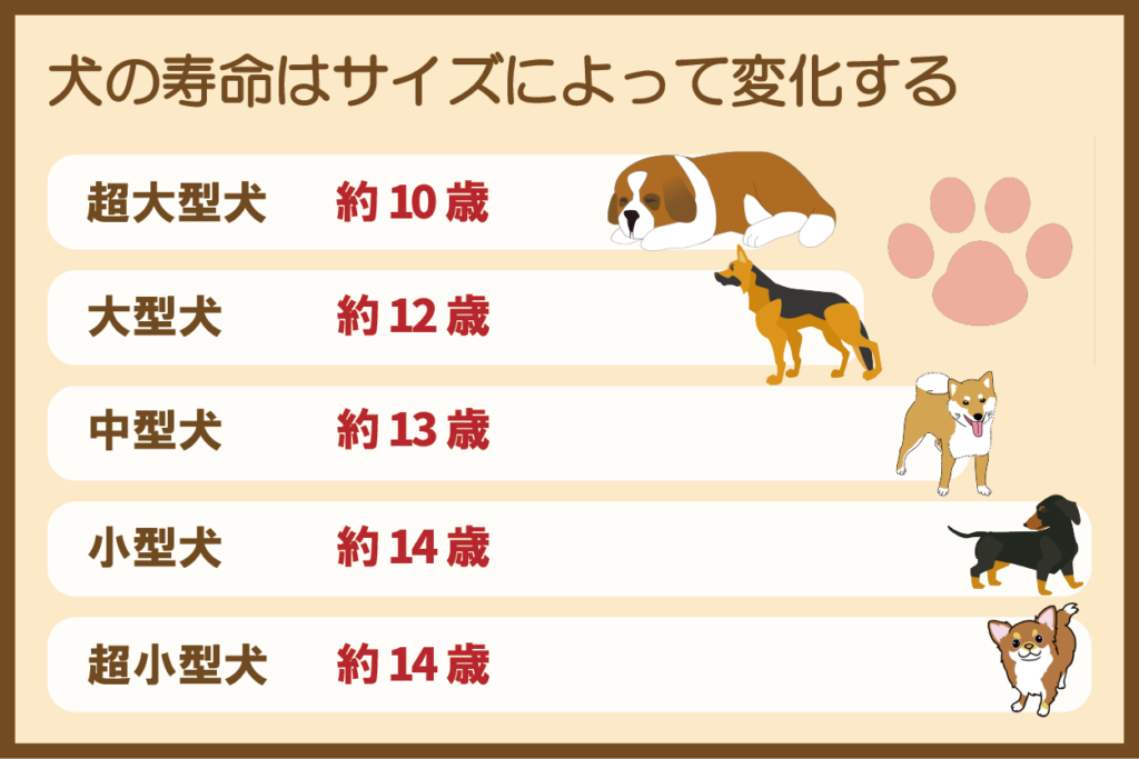 映画『犬と私の10の約束』が今も涙を誘う理由と結末の深層