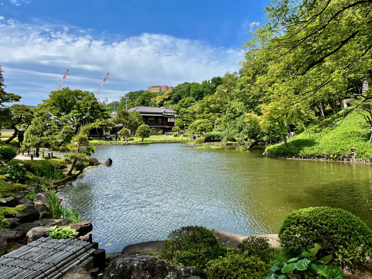 【2026】肥後細川庭園が無料の理由と松聲閣の抹茶・紅葉完全ガイド