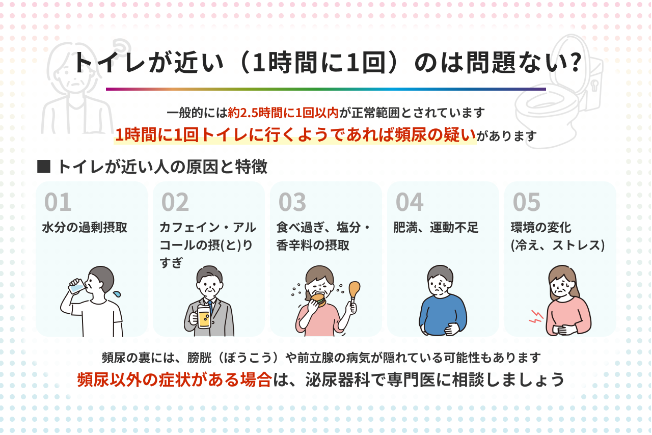 最近トイレが近い原因とは？男女別の疾患リスクと受診の目安を徹底解説