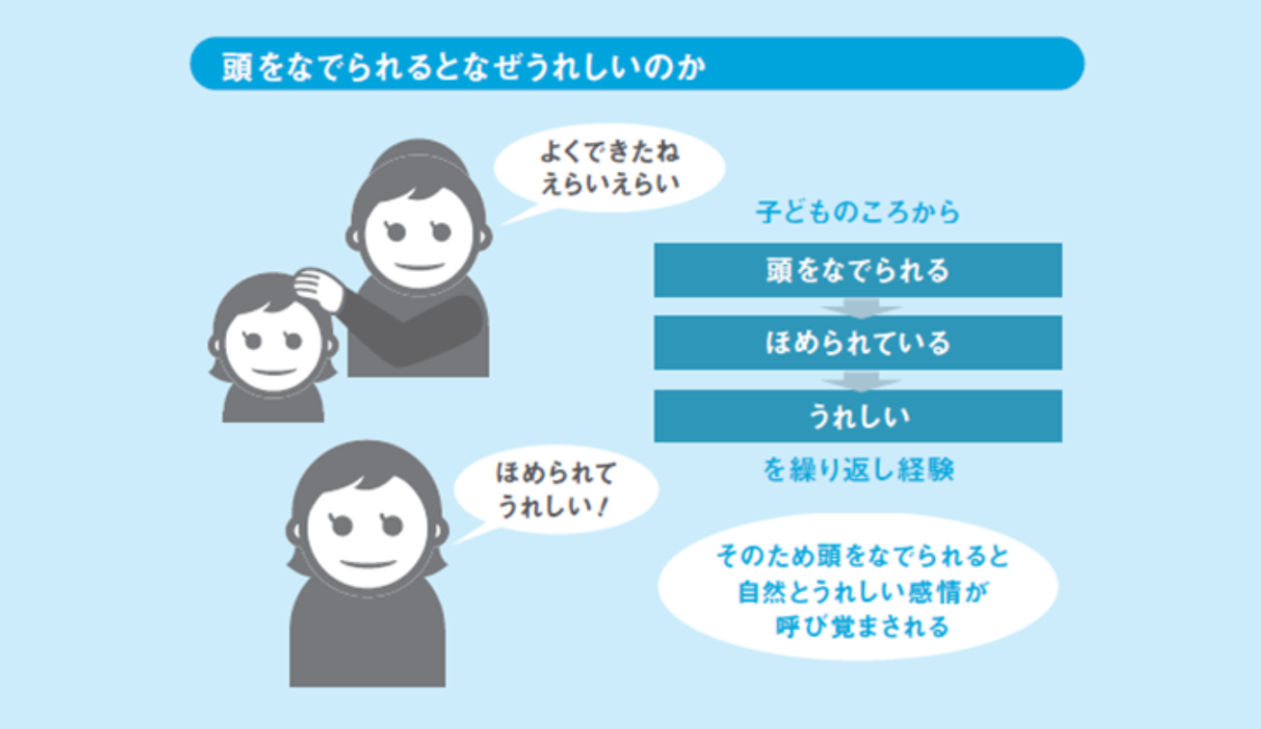 高校の倍率とは？志願と実質の違いや定員割れの落とし穴を徹底解説