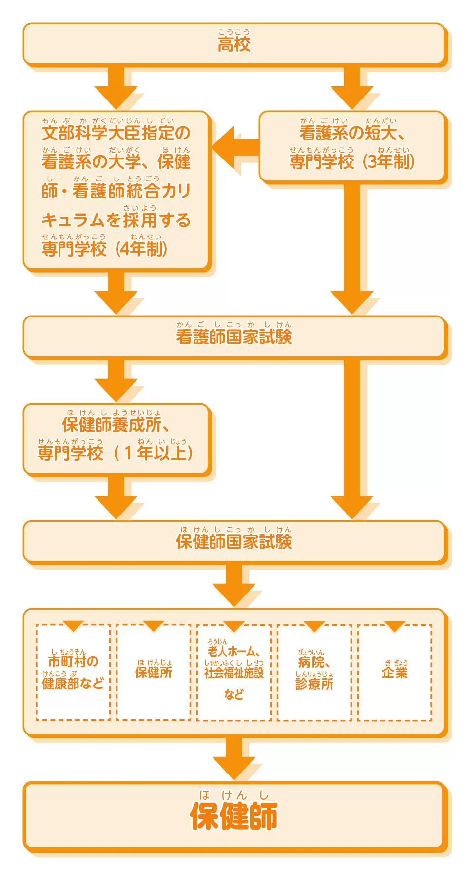 保健師になるには？2026年最短ルートと狭き門の真相を徹底解剖