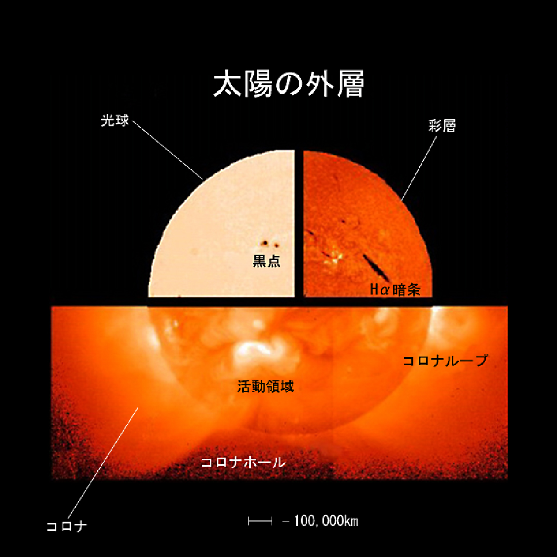太陽城王子大飯店の評判と実力検証！池袋直結ホテルの魅力と最新事情