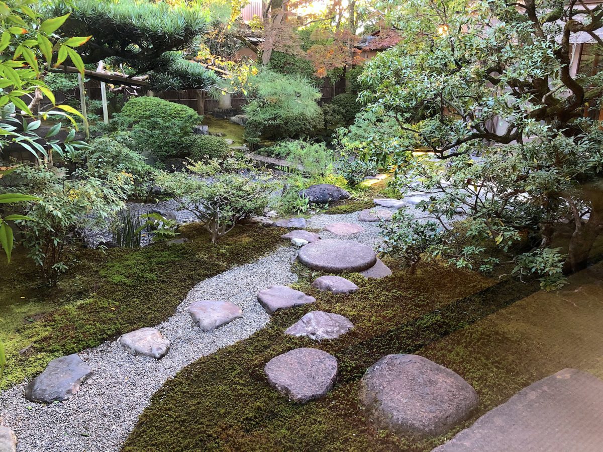 賞味期限15分！茶寮宝泉のわらび餅が絶品な理由と混雑回避法【京都】