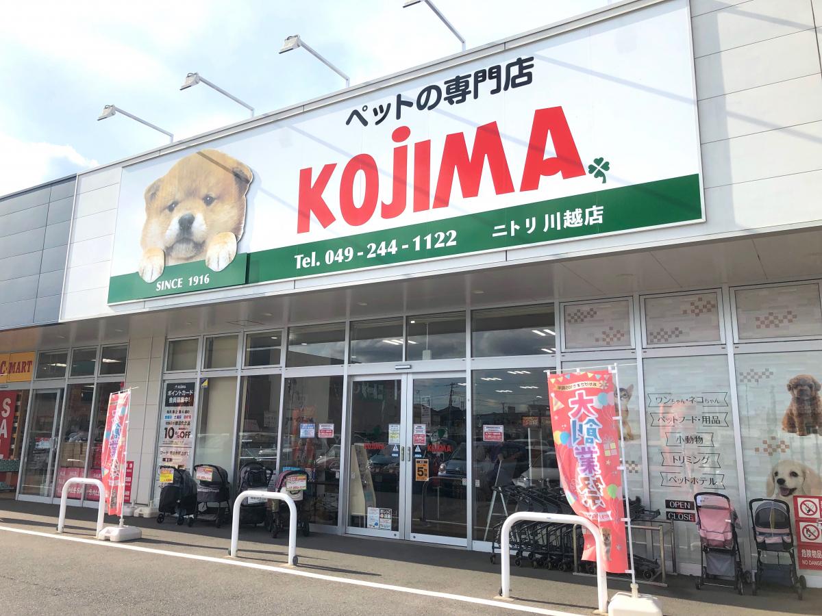 ペットのコジマ評判と「やばい」噂の真相｜子犬相場や現場の実態を徹底追跡