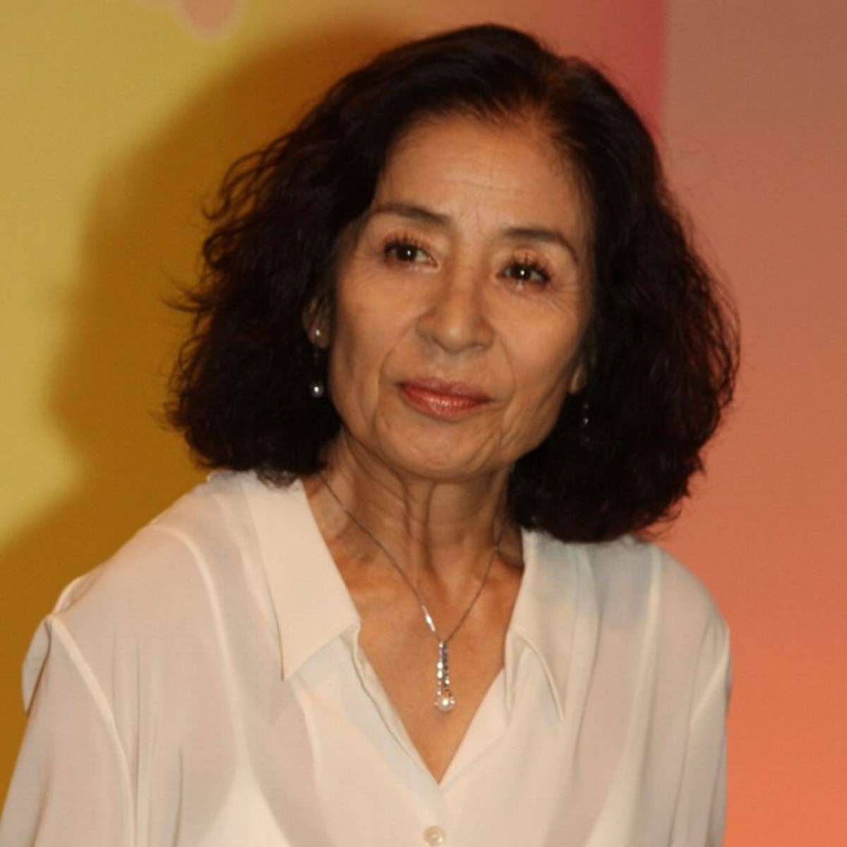 倍賞美津子の現在2026｜病気・引退説の真相と今の暮らし