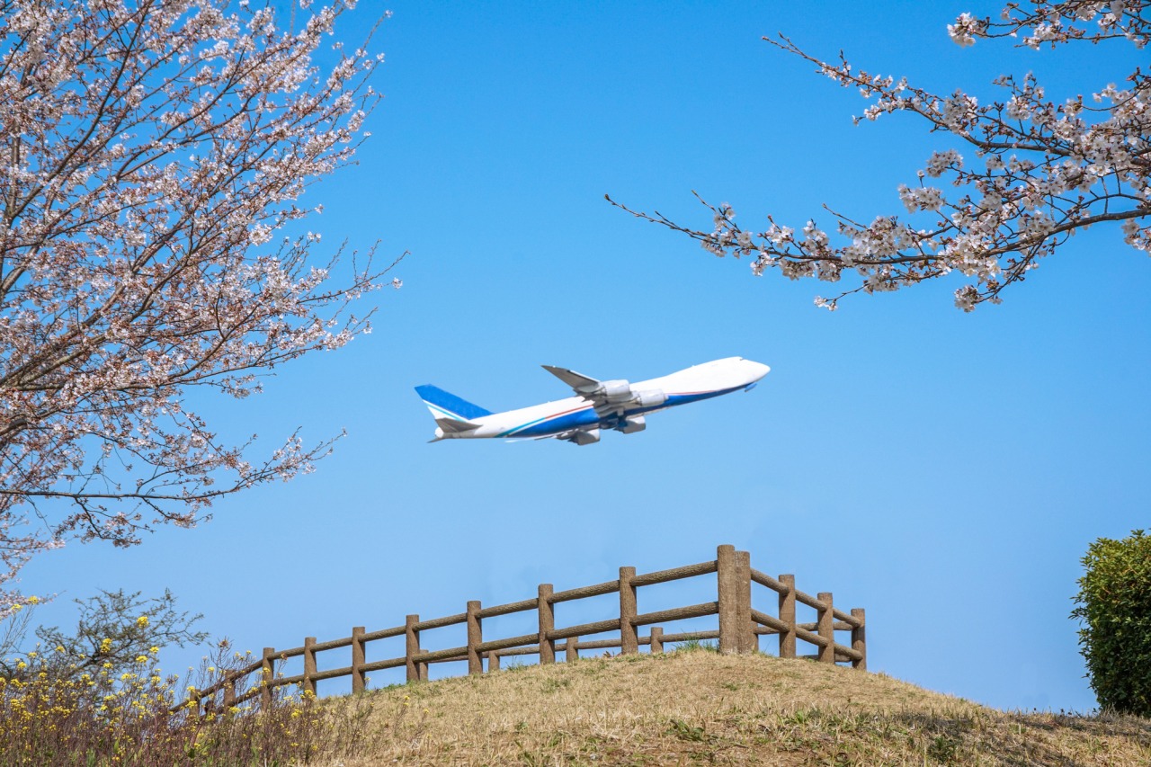 成田市さくらの山完全攻略2026｜飛行機の絶景と混雑回避の全貌