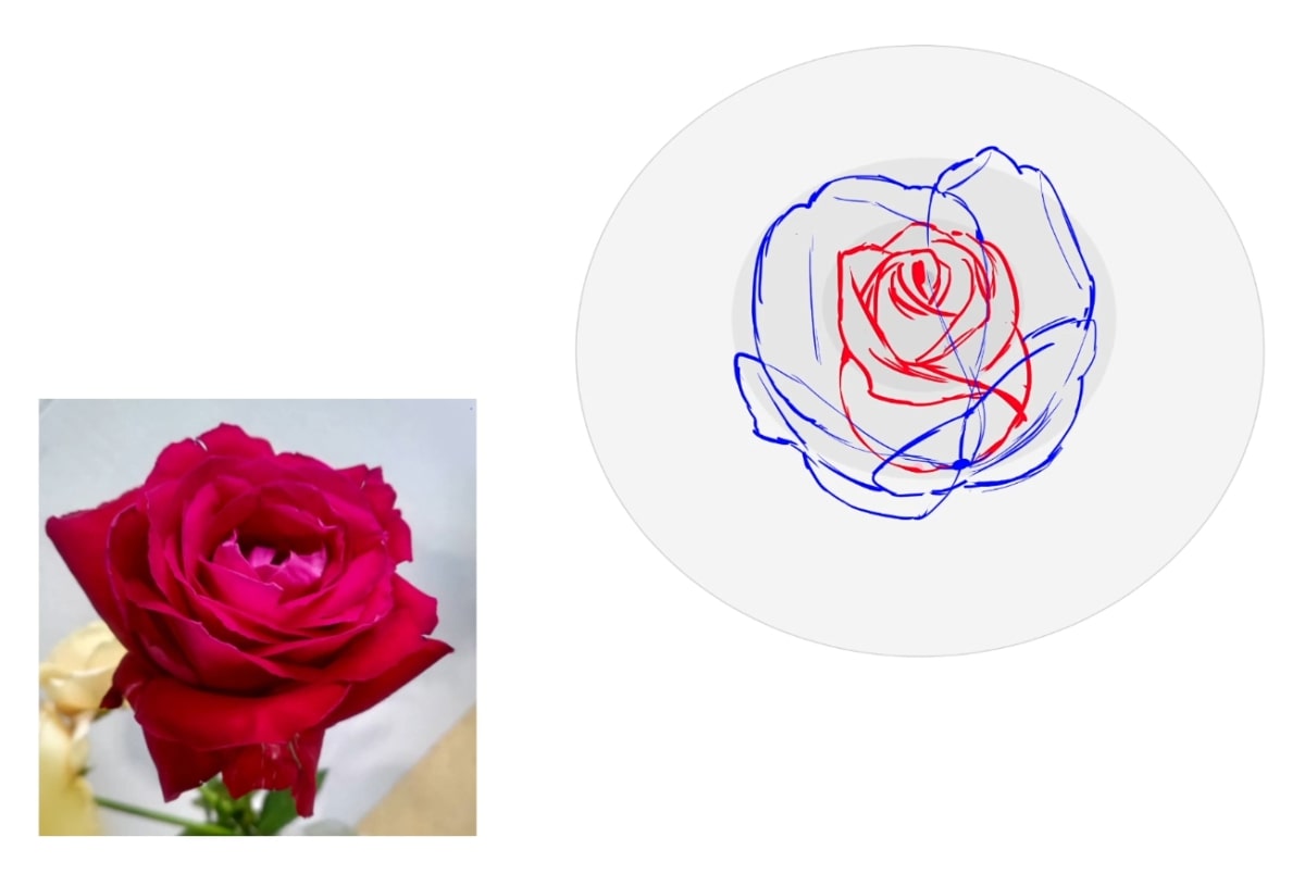 初心者でも失敗しない簡単な薔薇イラストの書き方と花びらの極意2026