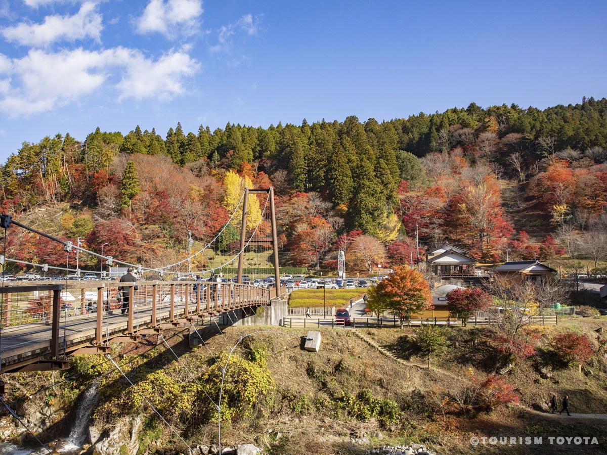 大井平公園の紅葉2026徹底取材！見頃時期や混雑回避・見どころ解説