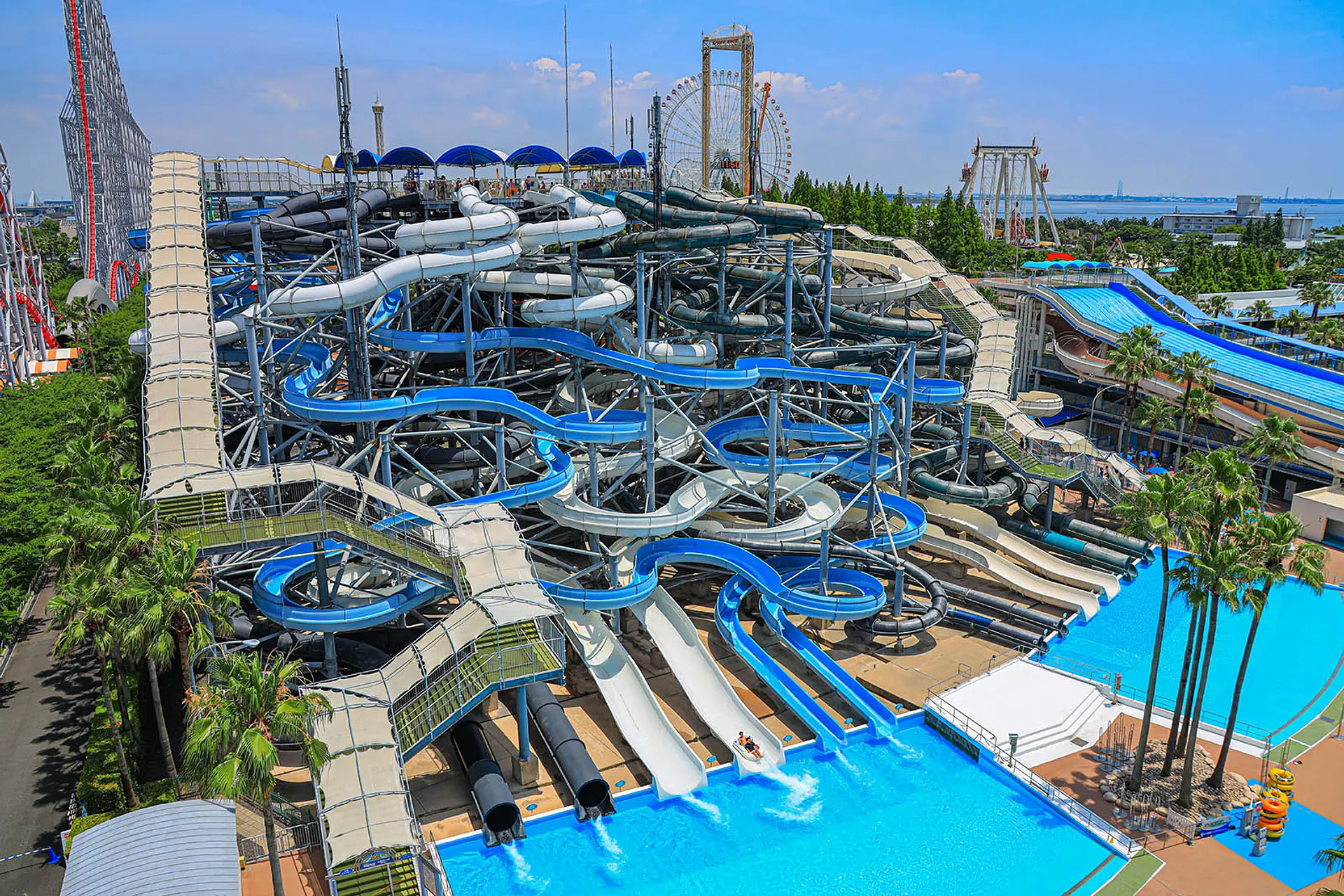 2026年ナガシマジャンボ海水プール完全攻略！混雑回避と割引術