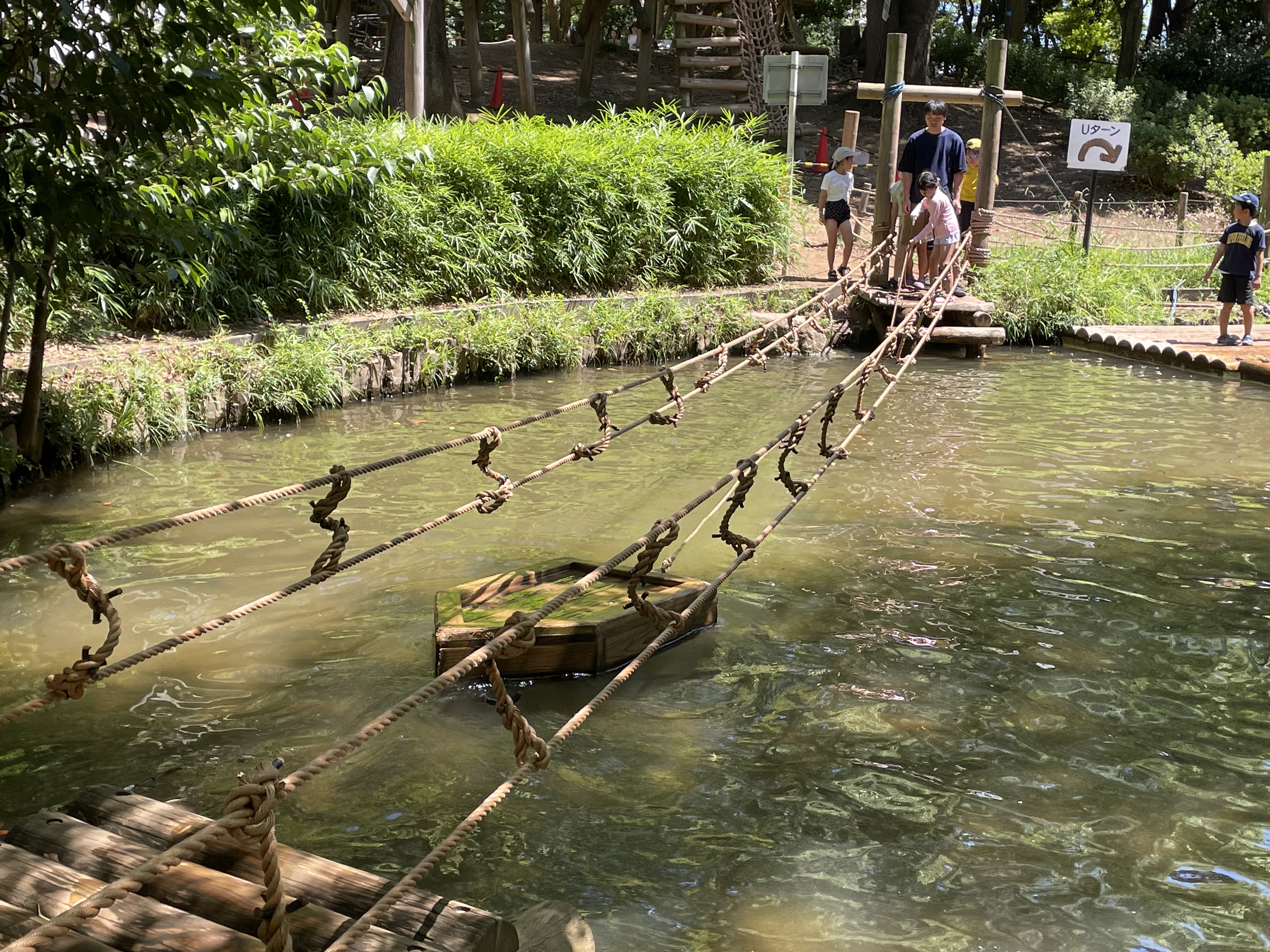 都内最大級！平和の森公園アスレチック完全攻略と混雑回避の極意