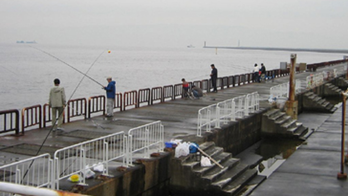 南港魚釣り園の釣果と混雑状況2026｜入場無料とルールの全真相