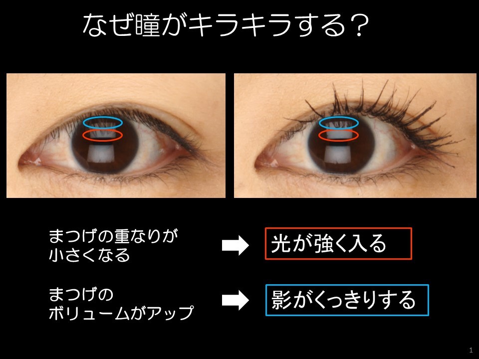 【2026年最新論考】なぜ「目がキラキラしてる人」は圧倒的に人を惹きつけるのか？瞳の輝きを生む科学的根拠と心理的メカニズム