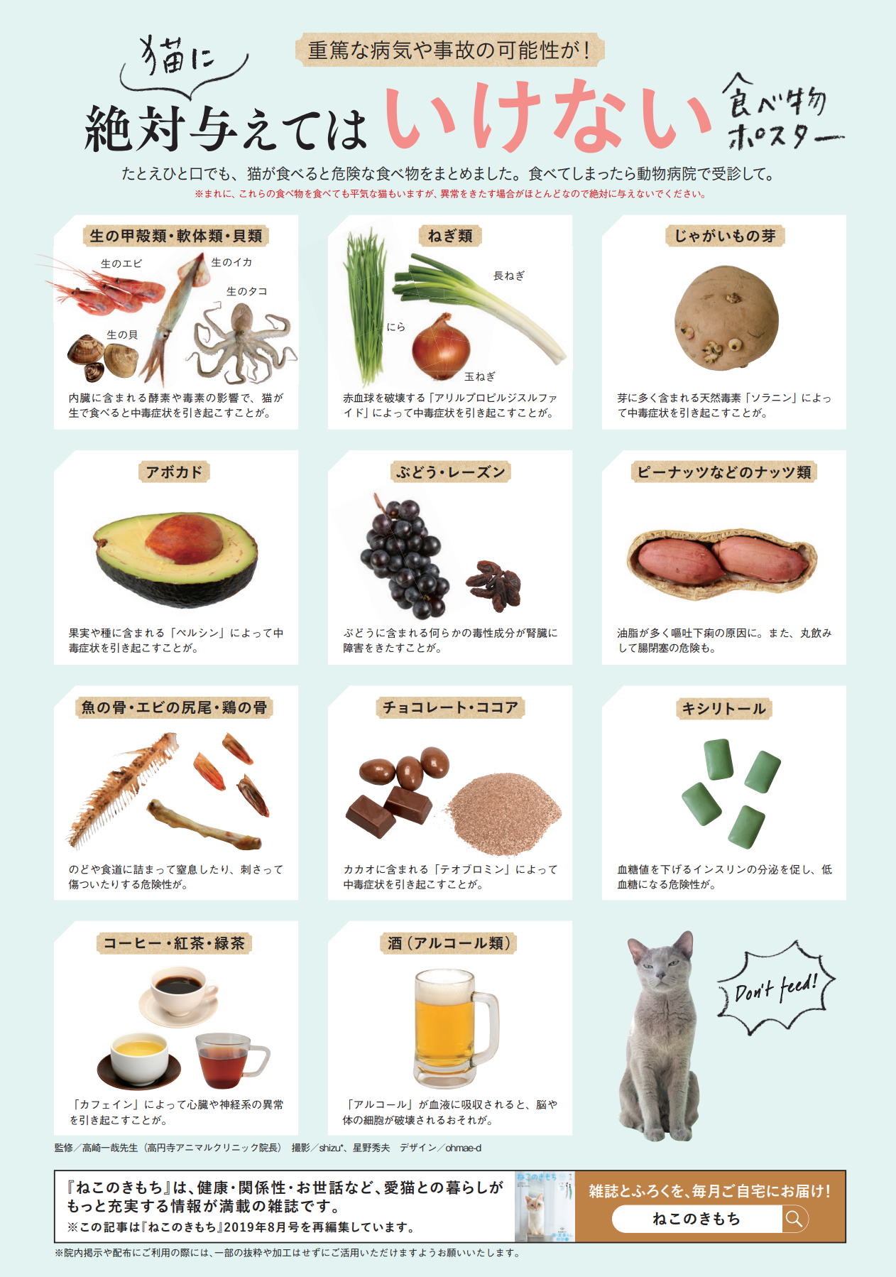 猫が食べたらダメなもの一覧｜命に関わる危険食材と誤飲時の緊急対処法