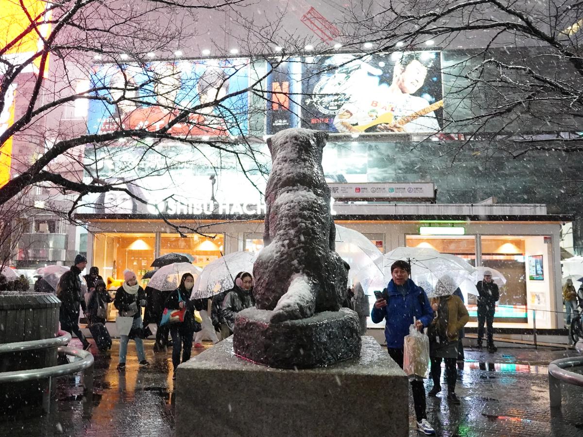 大雪の渋谷ハチ公に寄り添う「もう一匹の雪像」の正体と積雪のリアル