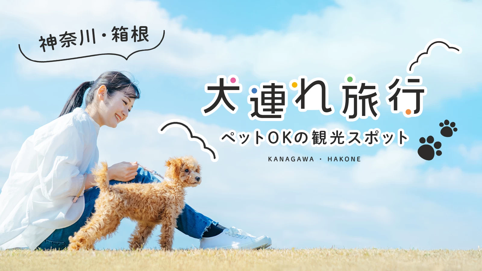 箱根の犬連れ観光で後悔する理由とは？2026年最新ルールと穴場攻略
