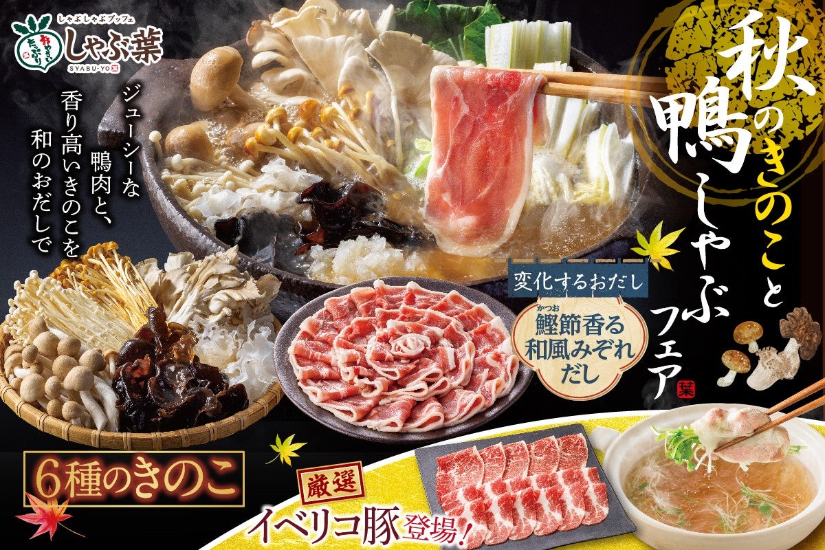 しゃぶ葉2026年最新攻略法！クーポン活用術と平日無制限の裏ワザ