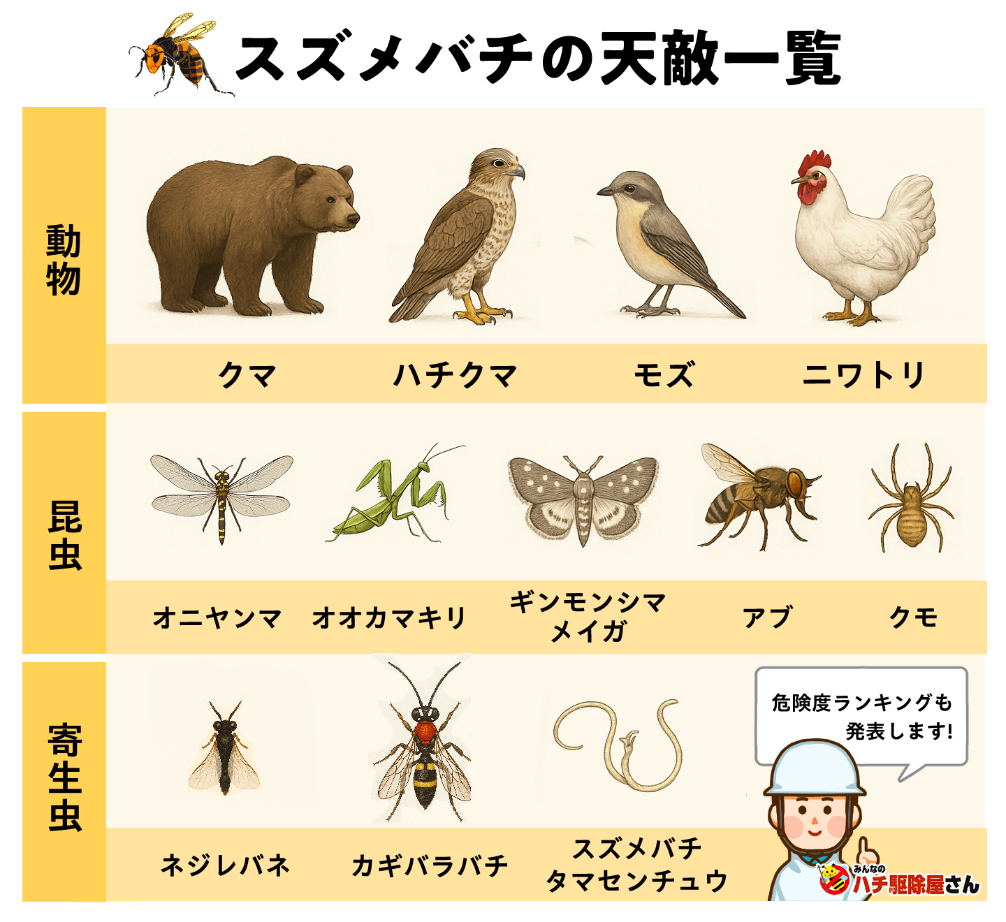 蜂の天敵最強ランキング！スズメバチを捕食する驚愕の生物と撃退法