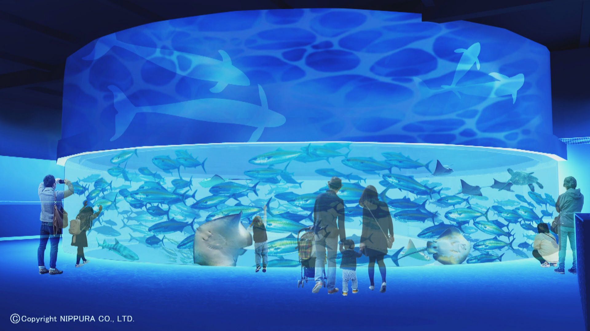 新屋島水族館の閉館危機の真相とは？見どころ・料金・最新情報を徹底解説