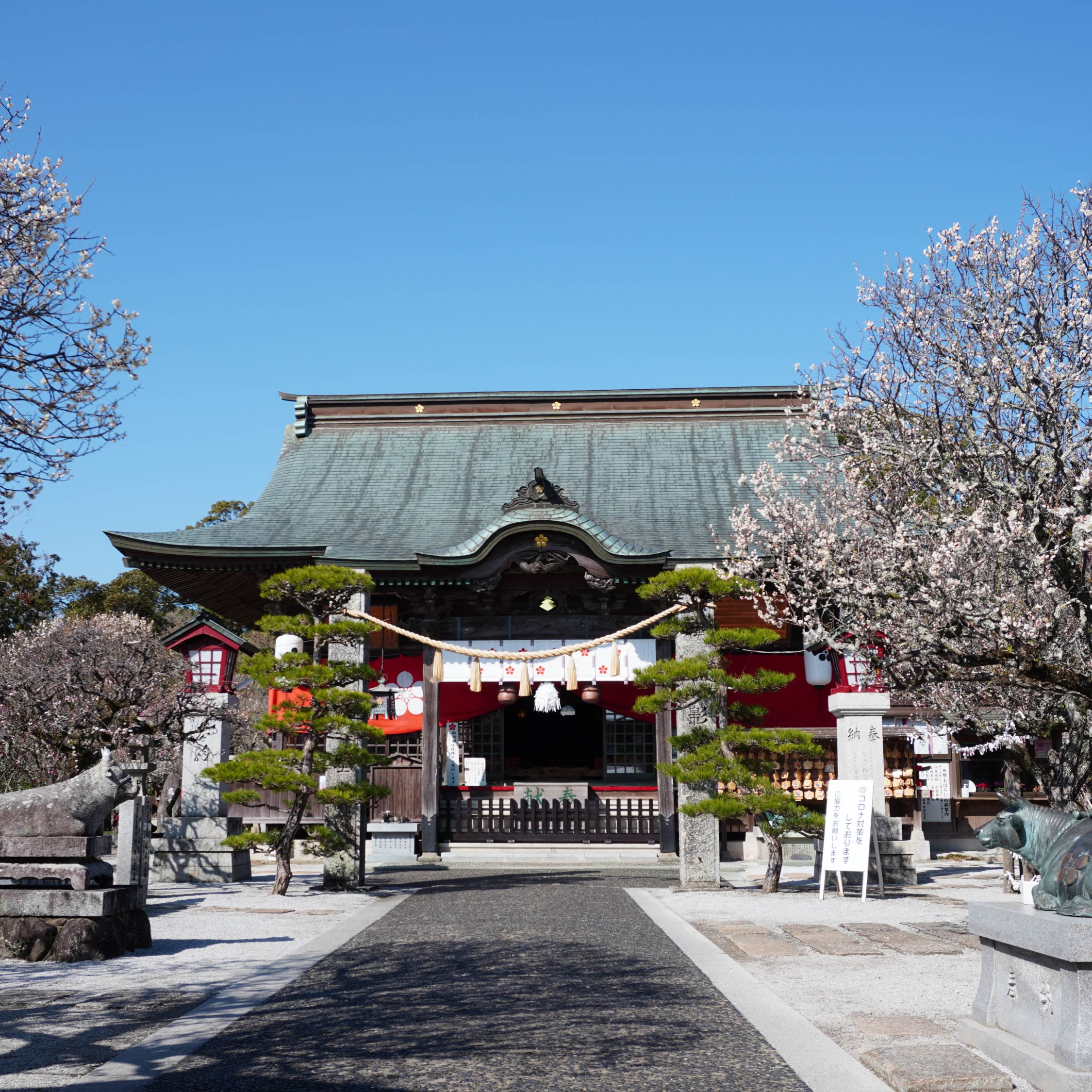 なぜ綱敷天満宮に人が集まる？波乗り祈願とご利益・梅の見頃まで徹底追跡