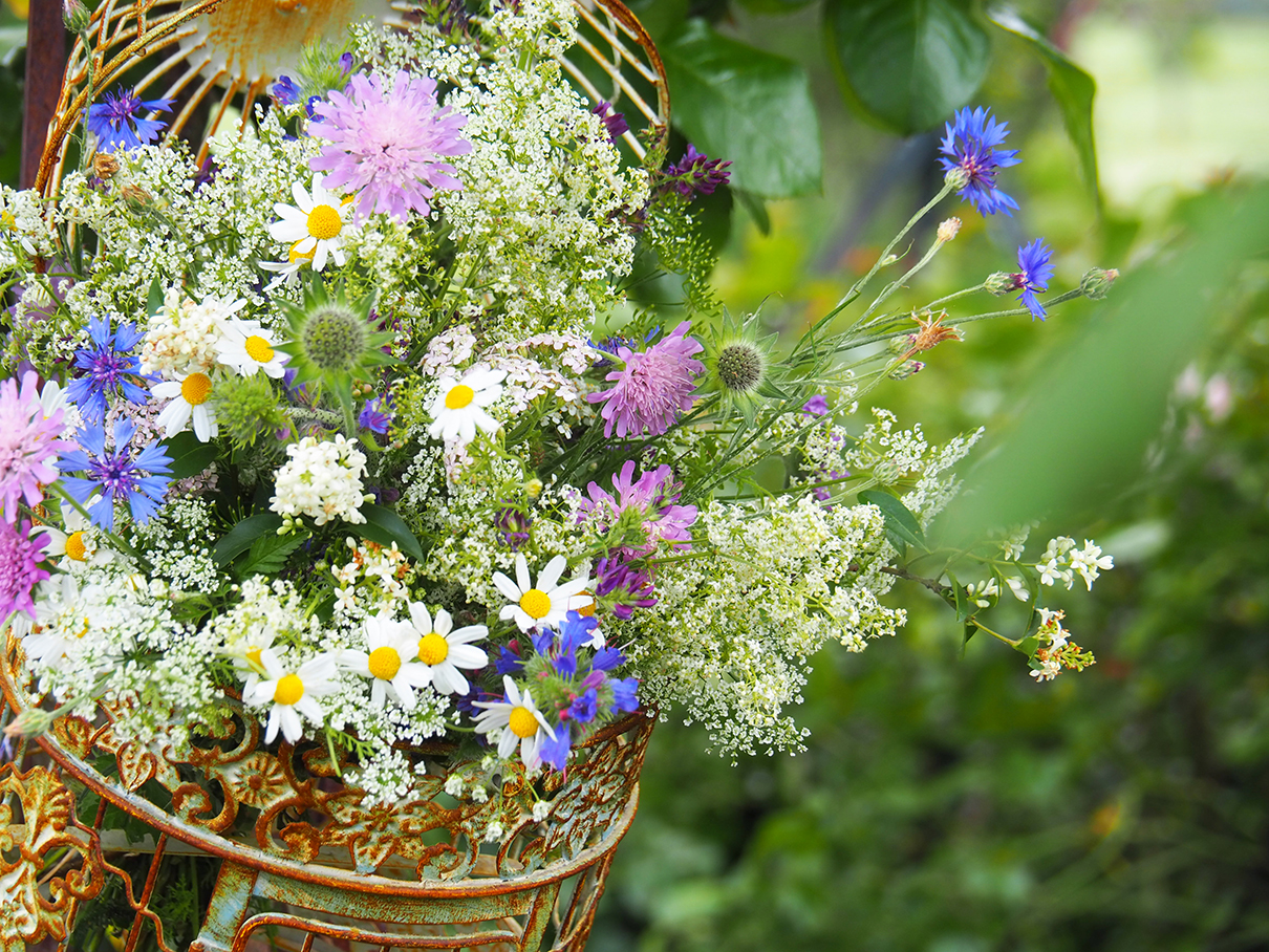 道端の野の花図鑑2026｜名前・花言葉から見分け方と飾り方まで徹底解説