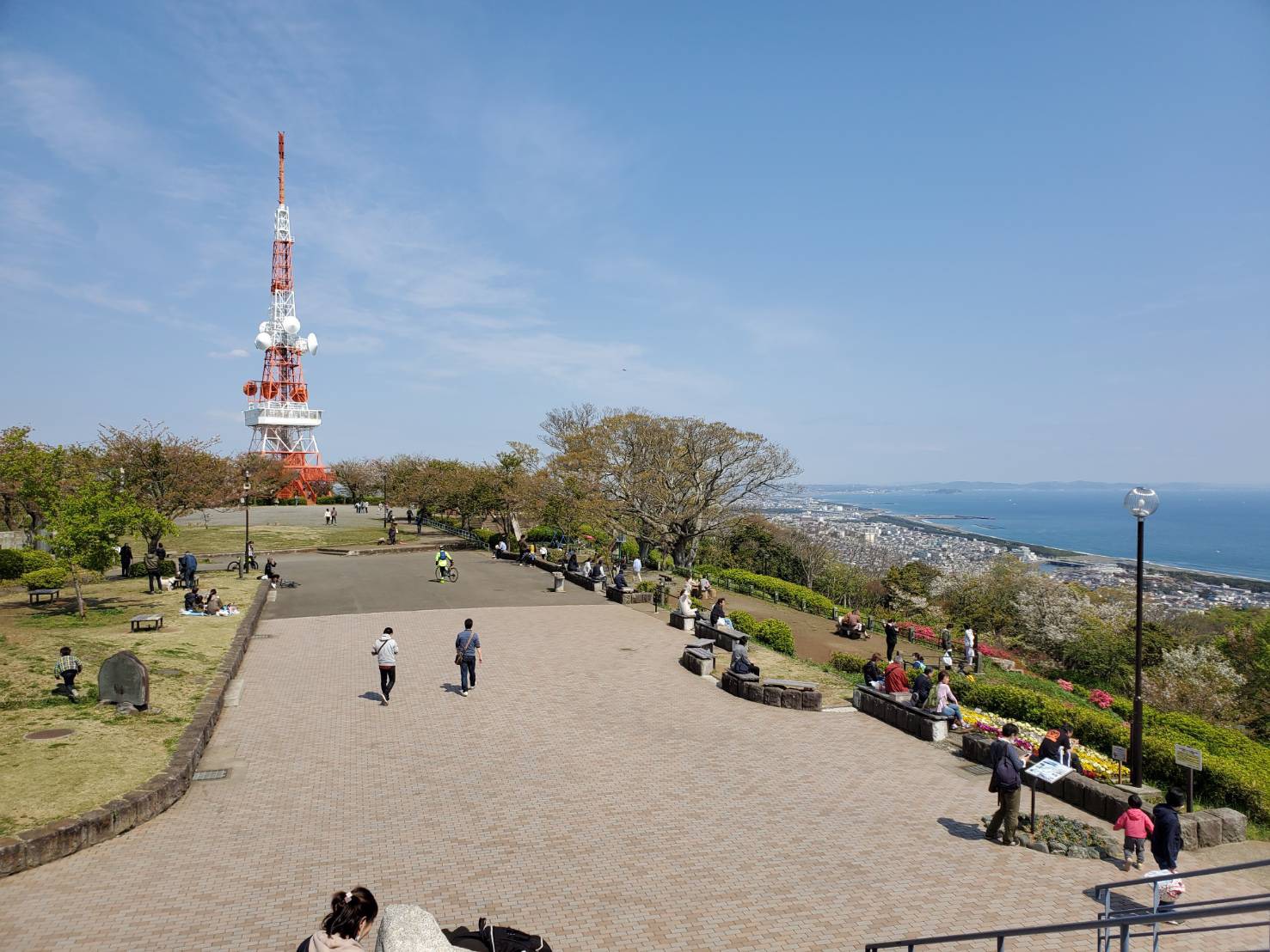 高麗山公園・湘南平の全貌｜絶景展望台と夜景・混雑回避の最新完全ガイド