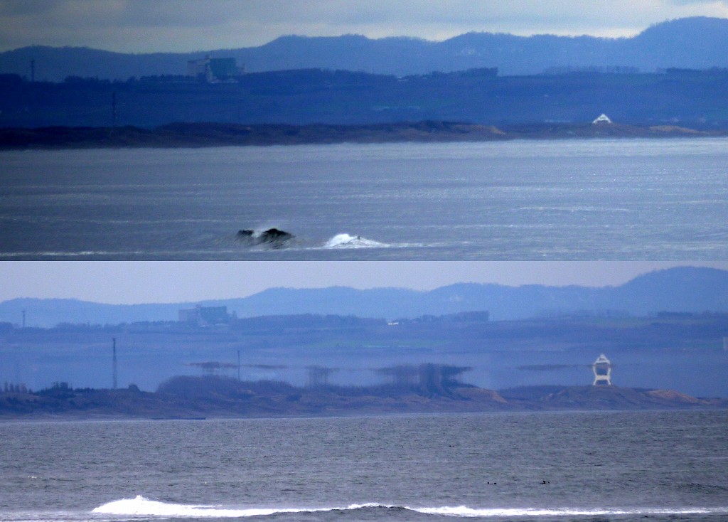 海原に浮かぶ幻の街並み――2026年、大気の異変が魅せる「蜃気楼」の衝撃と光学メカニズムの真相
