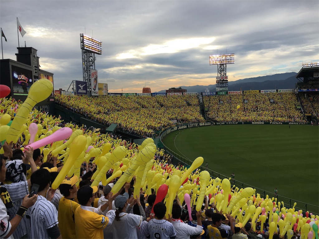 阪神タイガース応援の新常識！甲子園を包む熱狂と新時代の潮流