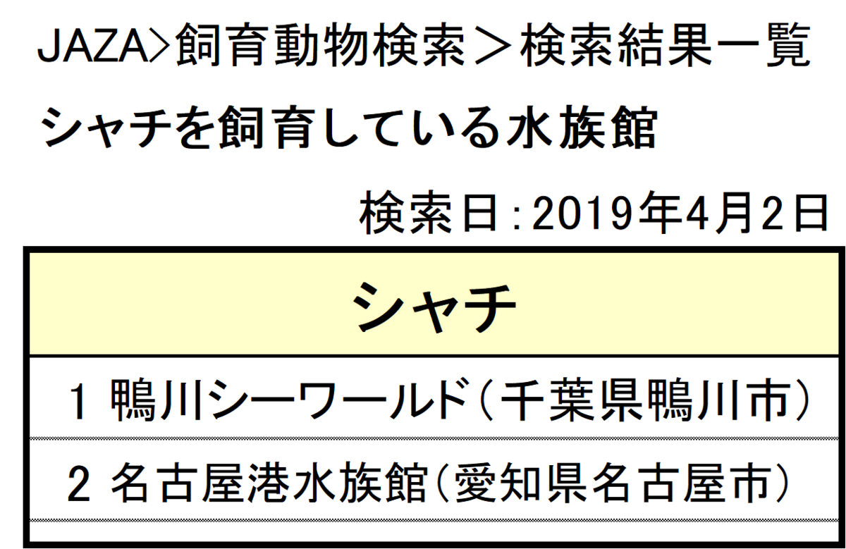 日本でシャチがいる水族館3選！最新ショー比較と混雑回避の決定版