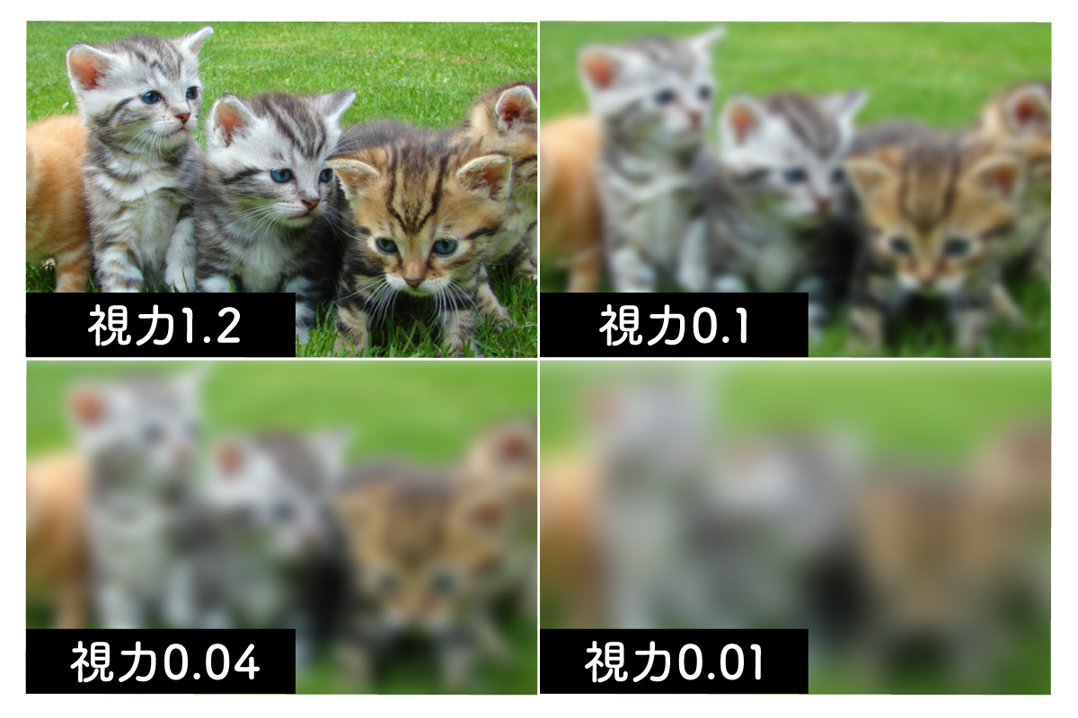 視力0.3の見え方はどこまで見える？運転免許や眼鏡の基準と生活の真相