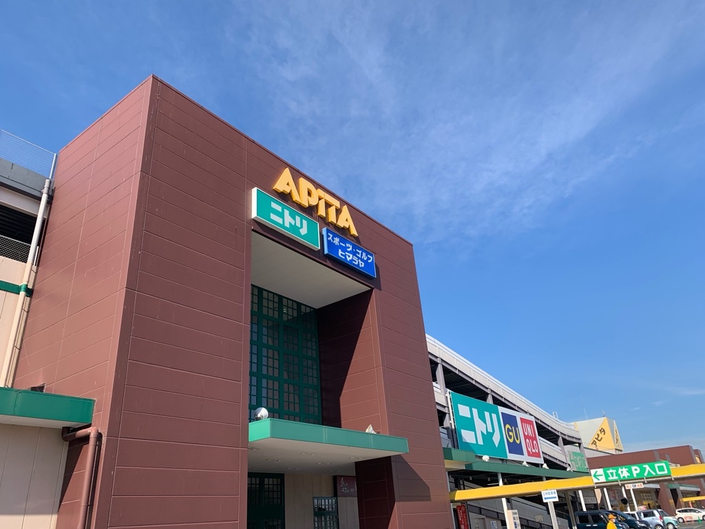 稲沢アピタの大改革！混雑を避ける穴場ルートと限定チラシ活用術