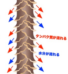【衝撃】 髪の毛 乾かさ ない と どうなる ファン必見の最新情報 #650