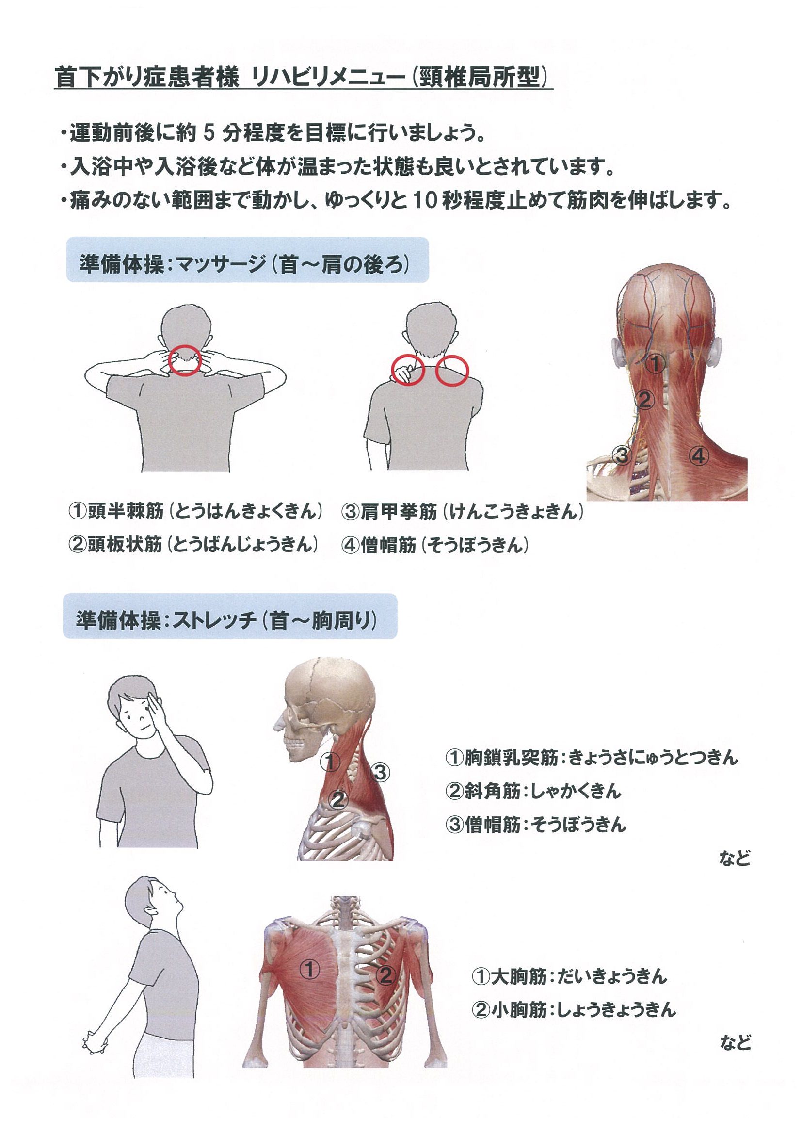 首下がり症候群の写真で見極める特徴と原因｜初期症状から改善事例まで