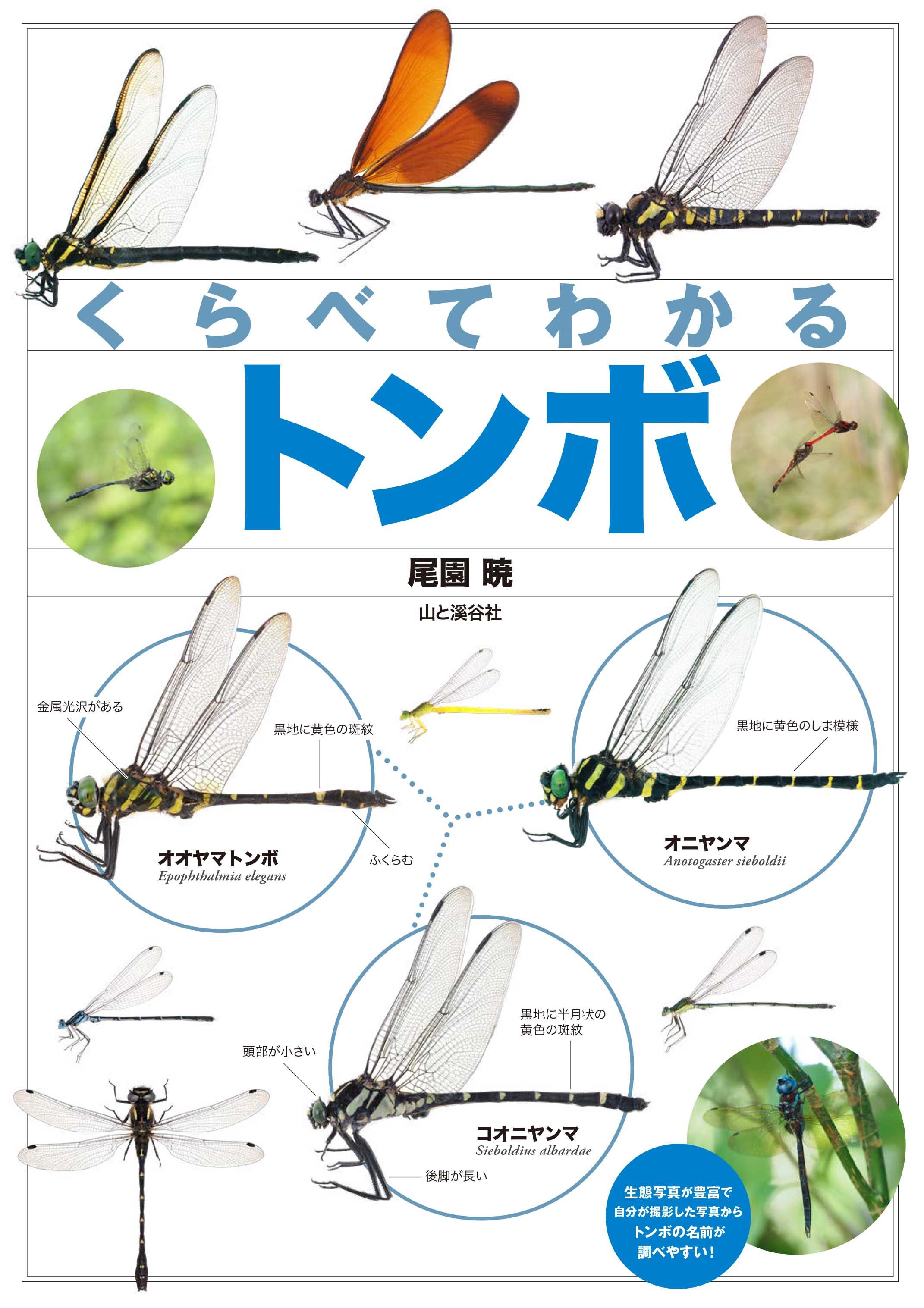 トンボ絵画コンクールで入選を狙う！歴代受賞作の共通点と応募要項